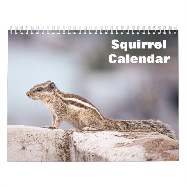 2026 Squirrel Calendar (Cover)