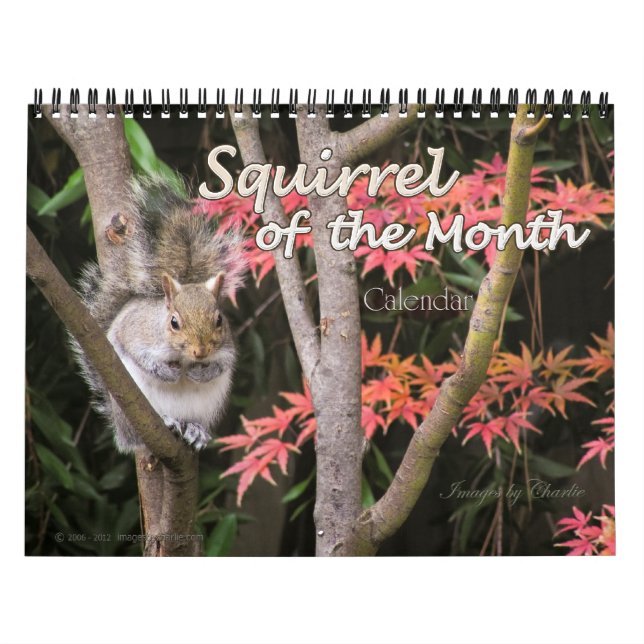 2026 Squirrel Photo Wall Calendar (Cover)