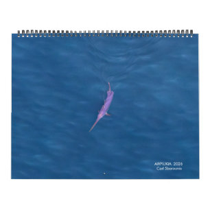 2026 Swordfish Calendar