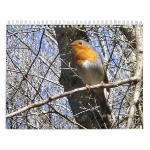 2026 Travel Notes Calendar