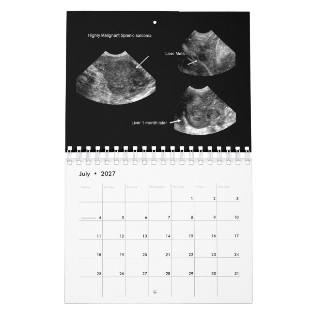 2026 Veterinary Ultrasound Calendar (Jul 2027)