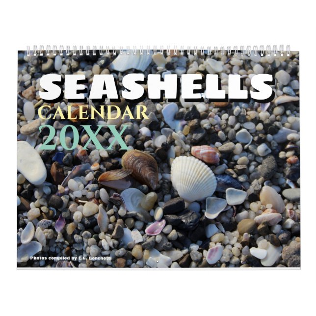 2026 Wall Seashell Calendar Beach Shells Gift (Cover)
