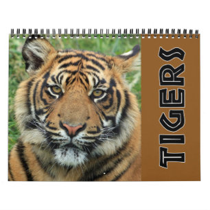 2026 Wild Tiger Calendar