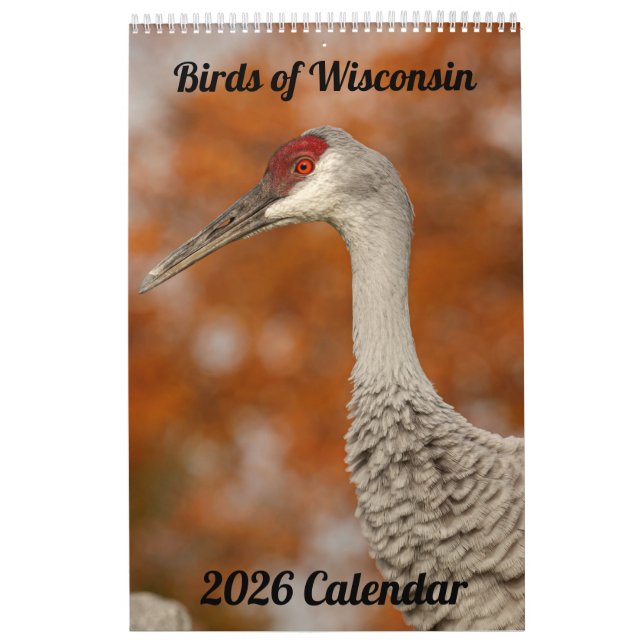 2026 Wisconsin Birds Calendar (Cover)