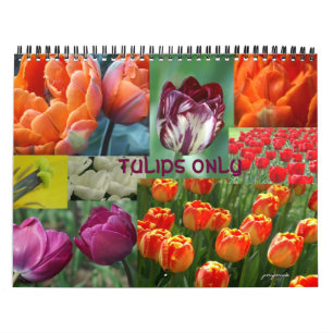 2026 year of the tulip calendar