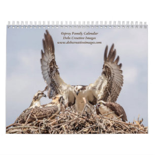 2027 Adirondack Osprey Family Wildlife Calendar
