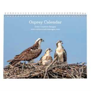 2027 Adirondack Osprey Family Wildlife Calendar