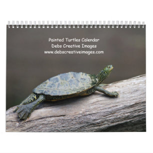 2027 Adirondack Painted Turtles Wildlife Calendar