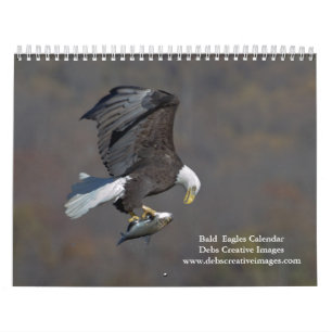 2027 Adult Bald Eagles Wildlife Photography Calendar