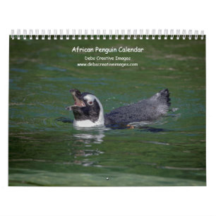 2027 African Penguins South African Wildlife Calendar