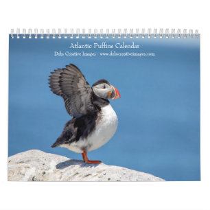 2027 Atlantic Puffins Coastal Wildlife Photograp Calendar