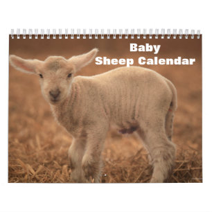 2027 Baby Sheep Lamb Calendar