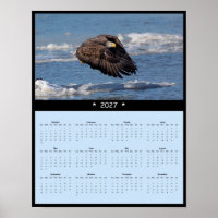 2027 Bald Eagle Wall Calendar - American Icon