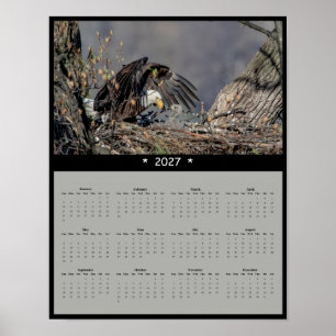 2027 Bald Eagle Wall Calendar - Watchful Guardian Poster