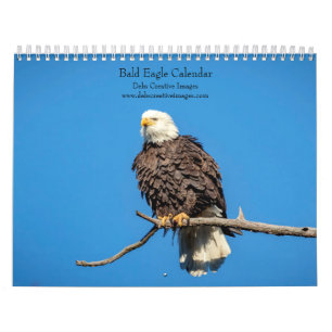 2027 Bald Eagles American Wildlife Calendar