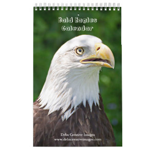 2027 Bald Eagles Wildlife Photography Calendar