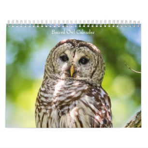 2027 Barred Owls Mysteries of the Forest Calendar