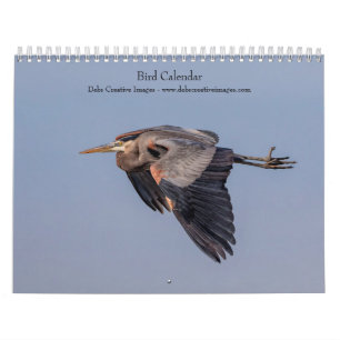 2027 Beautiful Birds Wildlife Photography Calendar