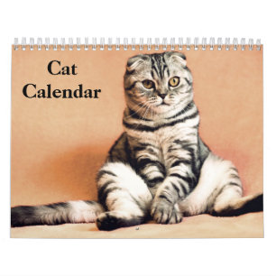 2027 Bengal Cat Calendar