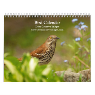 2027 Birds of Many Feathers North American Birds Calendar