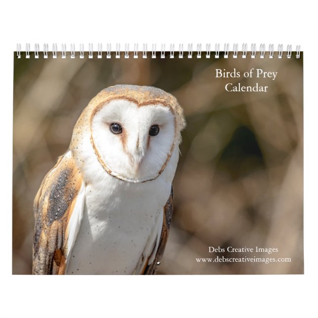 2027 Birds of Prey | North American Raptors Calendar (Cover)