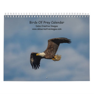 2027 Birds of Prey Raptors of North America Calendar