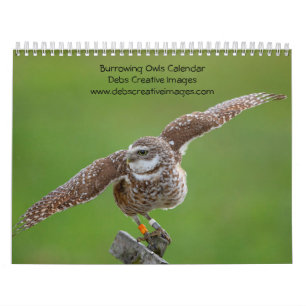 2027 Burrowing Owl Florida Wildlife Photography Calendar