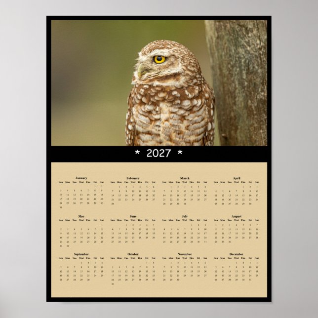 2027 Burrowing Owl Wall Calendar - Little Explorer Poster (Front)