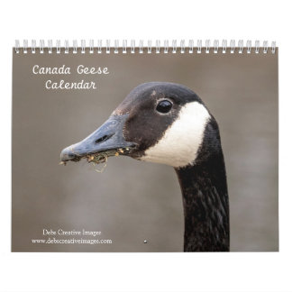 2027 Canada Geese | Family & Wildlife Photography Calendar