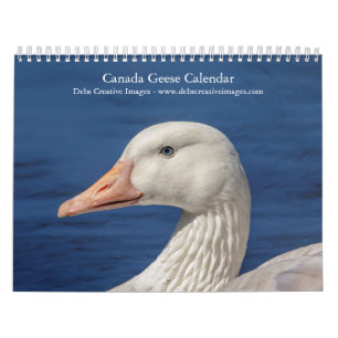 2027 Canada Geese Family Wildlife Photography Calendar