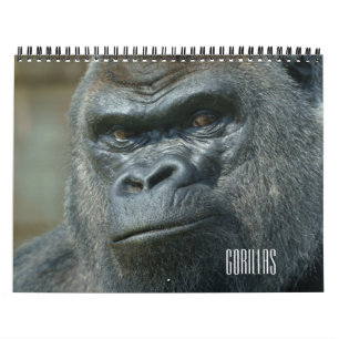 2027 Classic Ozala Oumbi Lope Shufai Gorilla Calendar