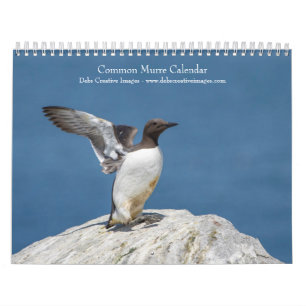 2027 Common Murres Atlantic Seabirds Calendar