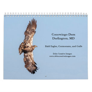 2027 Conowingo Dam Bald Eagles Maryland Wildlife Calendar