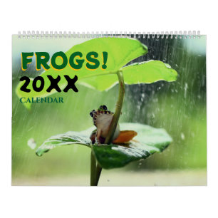 2027 Cute Frogs in Nature Wall Calendar