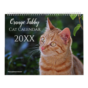 2027 Cute Orange Tabby Cats Kittens Calendar
