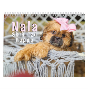 2027 Cute Shih Tzu Puppy Calendar