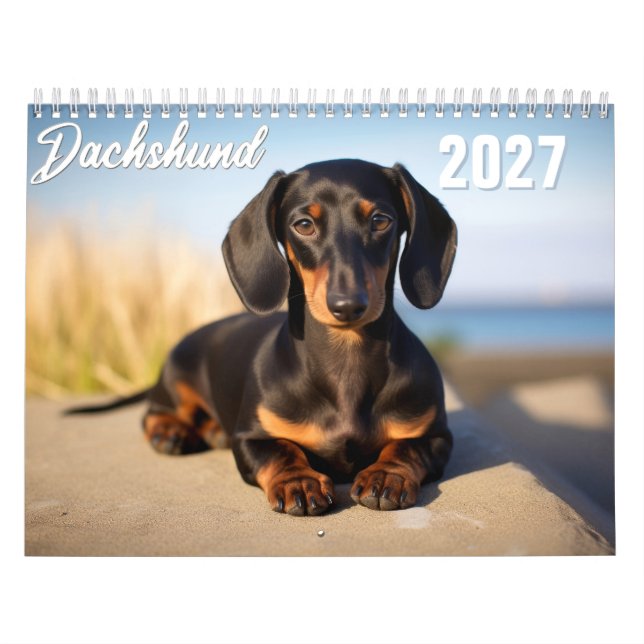 2027 Dachshund Calendar (Cover)