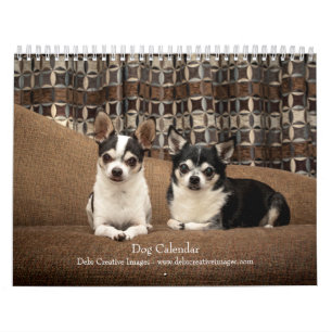2027 Dogs Best Friends in Every Season Calendar