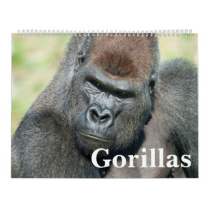 2027 Everlasting Gorilla Collection Calendar
