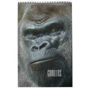 2027 Everlasting Twycross Gorilla Family Calendar