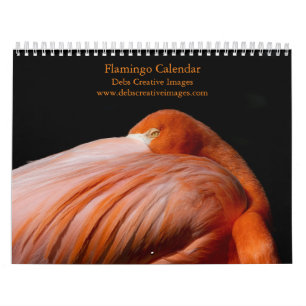 2027 Flamingos of Florida Calendar