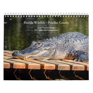 2027 Florida Wildlife Pinellas County Nature Calendar