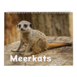 2027 Forever Meerkat Joy Calendar