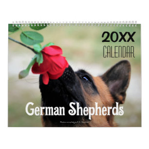 2027 German Shepherd Dog Wall Calendar