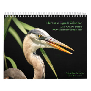 2027 Herons & Egrets Wetland Bird Photography Calendar