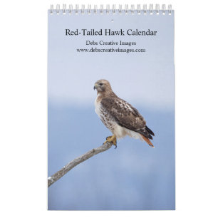 2027 Hudson Valley Red-Tailed Hawks Calendar