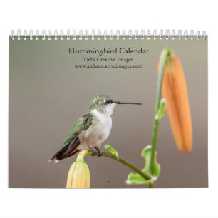 2027 Hummingbirds Tiny Jewels of Nature Calendar