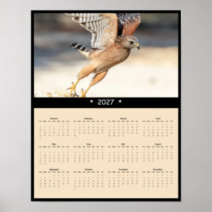 2027 Immature Red-shouldered Hawk Wall Calendar Poster