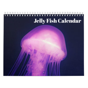 2027 Jellyfish Calendar
