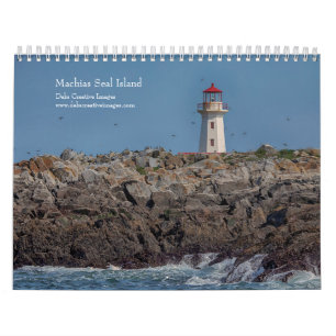 2027 Machias Seal Island Puffins & Seabirds Calendar